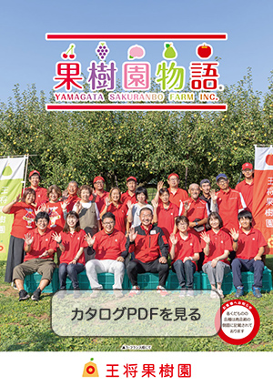 りんご・ラ・フランス・秋の果物