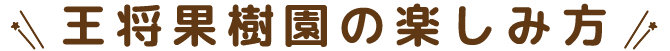 王将果樹園の楽しみ方