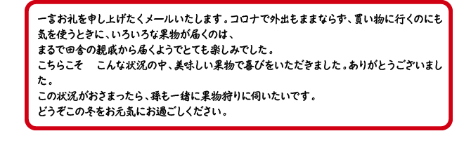 ワケあり倶楽部 やまがたさくらんぼファーム 王将果樹園